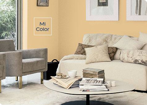 Carta de Color Manual